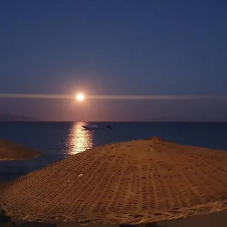 Lemon Tree House, Golden Διαμέρισμα