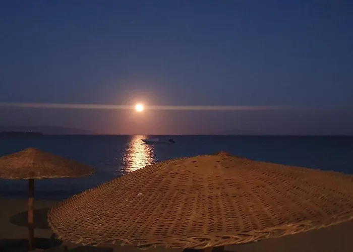 Lemon Tree House, Golden アパート