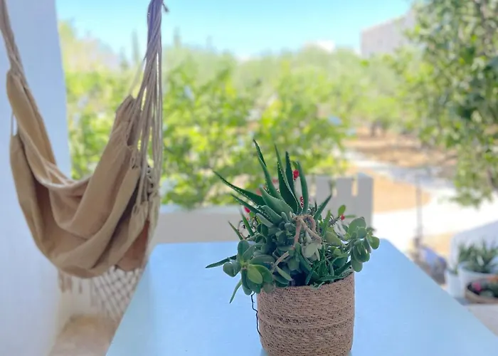 Lemon Tree House, Golden *